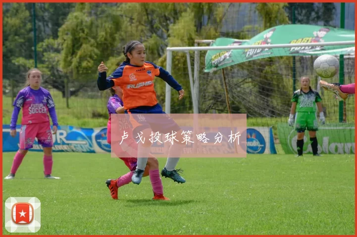 卢戈投球策略分析